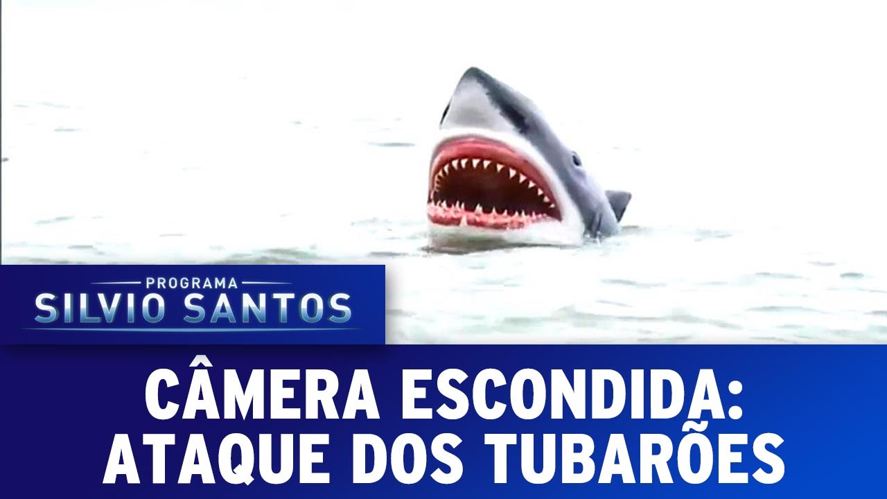 Câmera Escondida (01/05/16) – Ataque dos Tubarões